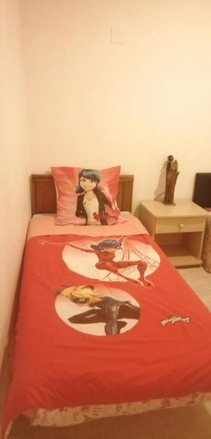Petit Appartement Перпинян Екстериор снимка